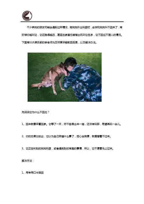 狗狗不听话,叫不回来怎么办全攻略