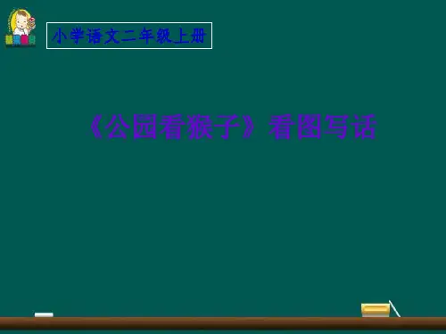 二年级看图写话《公园看猴子》