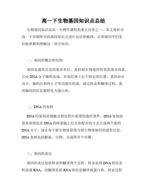 高一下生物基因知识点总结