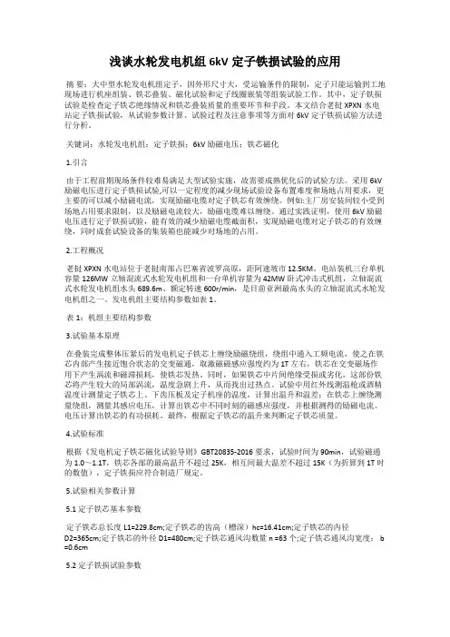 浅谈水轮发电机组6kV定子铁损试验的应用