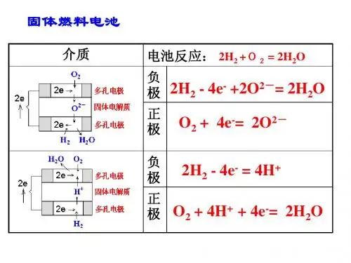 常见的电解原理的应用及电极反应式书写
