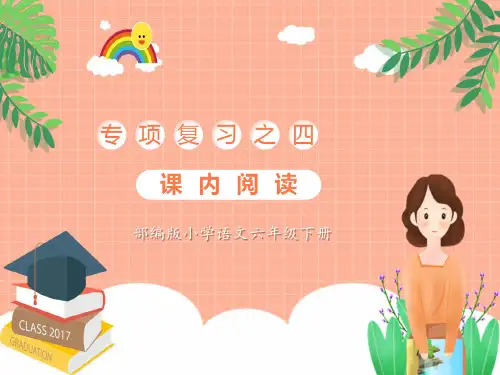 六年级下册课内阅读专项复习课件(共20张PPT)