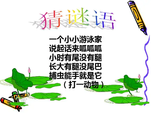 字母表示数课件(北师大版小学数学四年级下册课件)