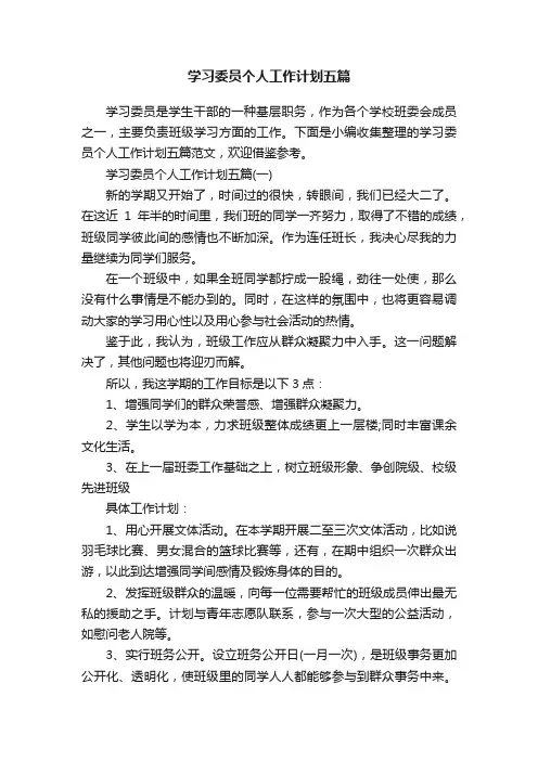 学习委员个人工作计划五篇