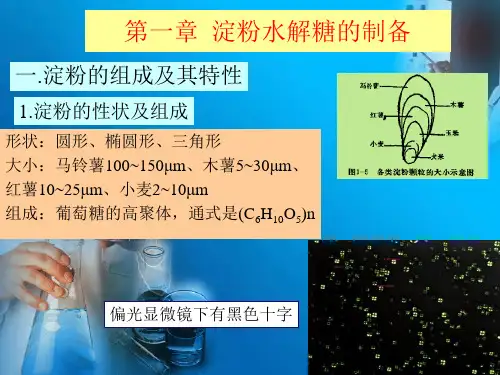 第一章淀粉水解糖的制备
