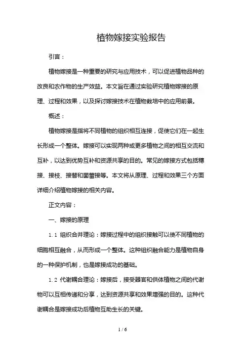 植物嫁接实验报告doc(两篇)2024