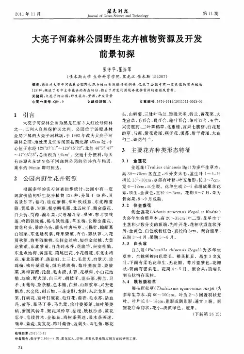 大亮子河森林公园野生花卉植物资源及开发前景初探
