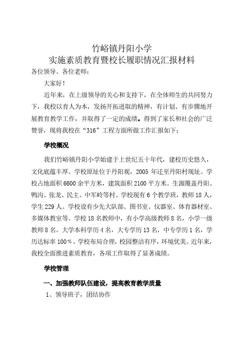 316总结报告