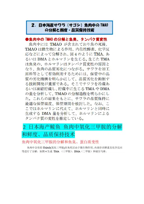 鲅鱼氧化三甲胺的分解和鲜度、品质保持技术