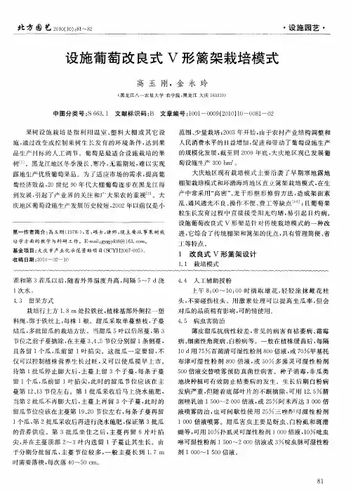 设施葡萄改良式V形篱架栽培模式