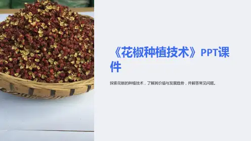 《花椒种植技术》课件