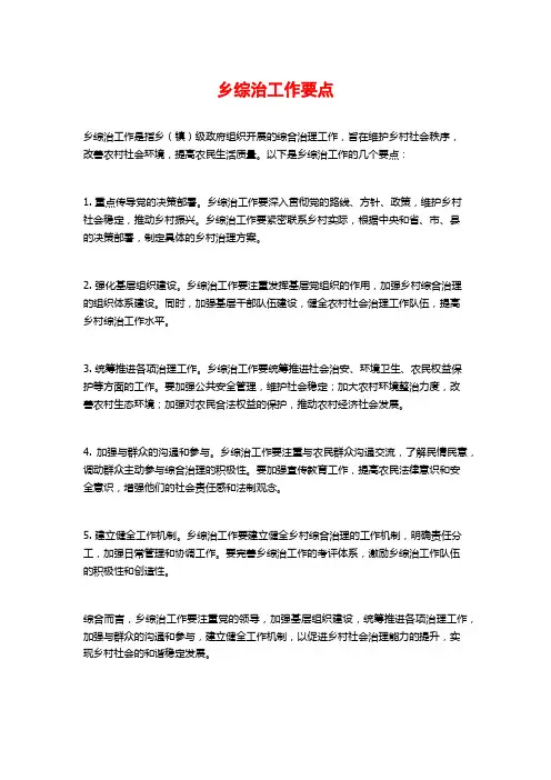 乡综治工作要点