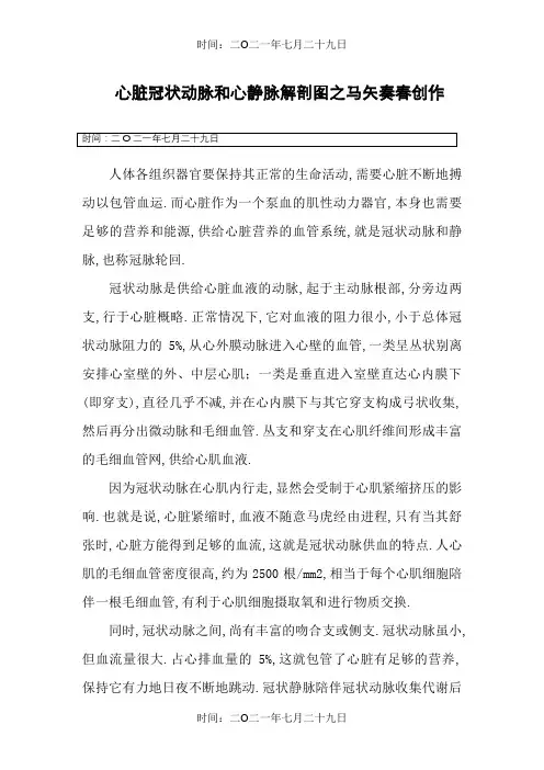 心脏冠状动脉和心静脉解剖图