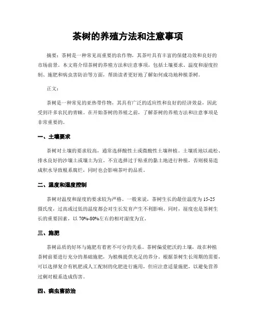 茶树的养殖方法和注意事项