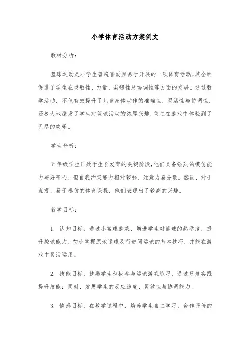 小学体育活动方案例文（三篇）