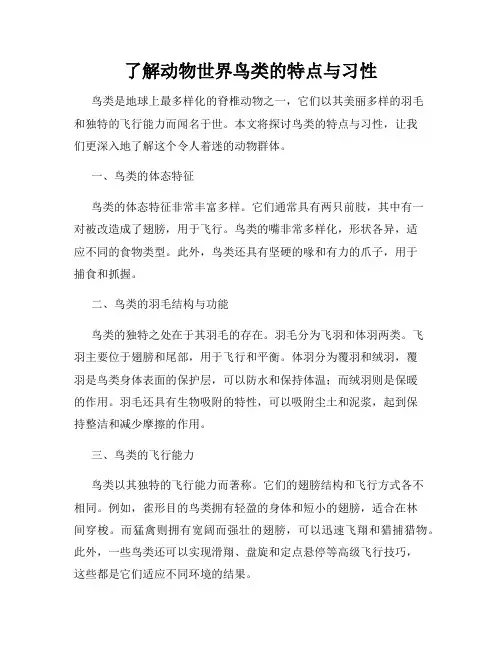 了解动物世界鸟类的特点与习性