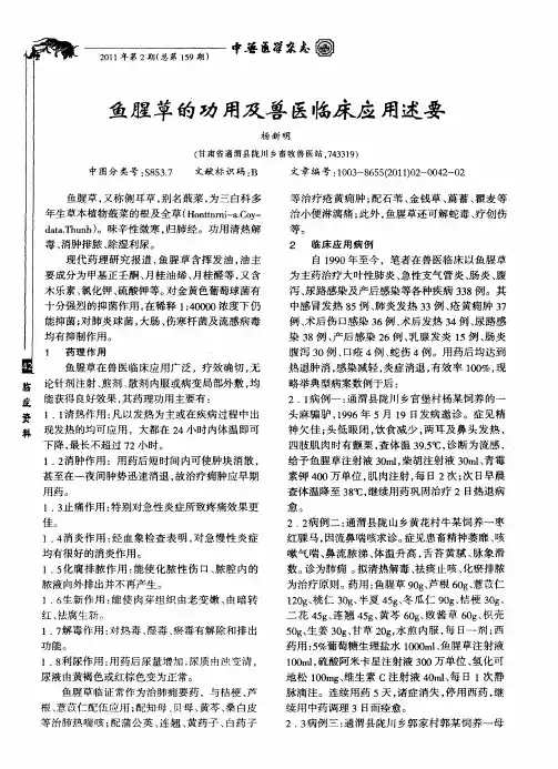 鱼腥草的功用及兽医临床应用述要