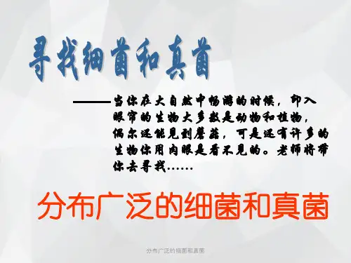 分布广泛的细菌和真菌 