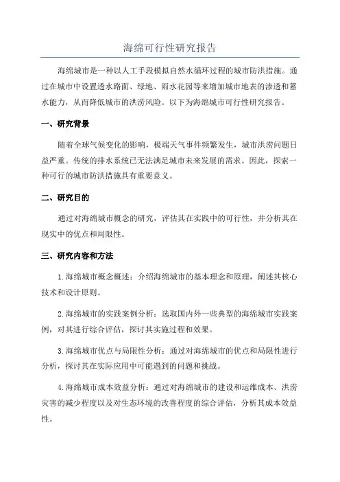 海绵可行性研究报告