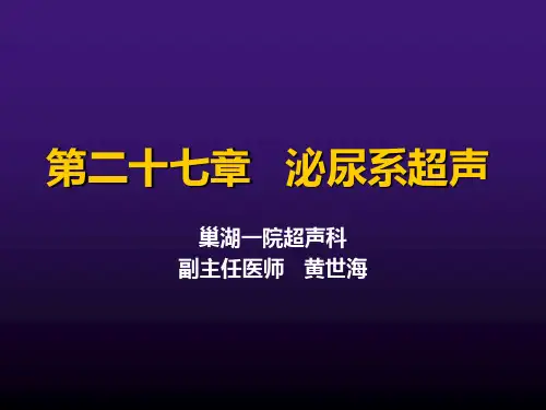 泌尿系超声PPT课件