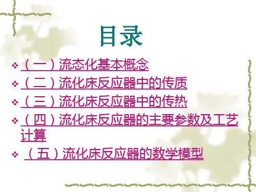 流化床反应器的设计 ppt课件