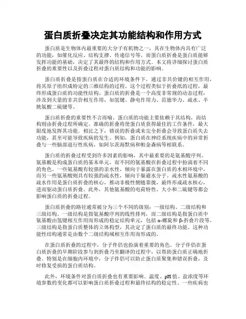 蛋白质折叠决定其功能结构和作用方式