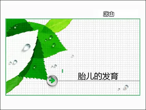 儿童发展心理学-胎儿的发育