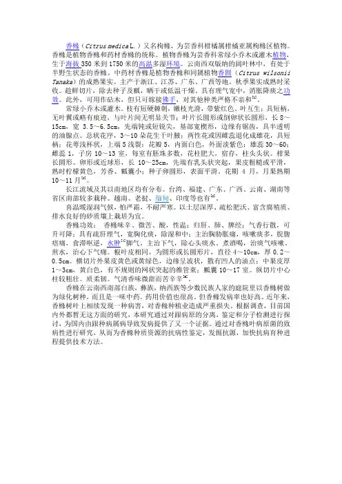 香橼