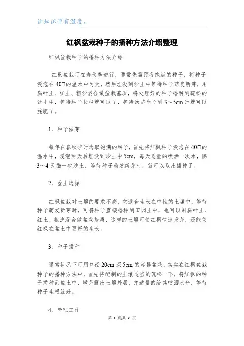 红枫盆栽种子的播种方法介绍整理
