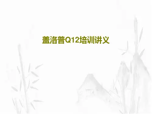 盖洛普Q12培训讲义PPT文档共37页