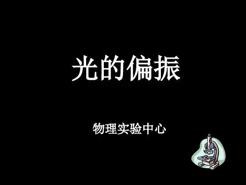 大学物理实验——光的偏振