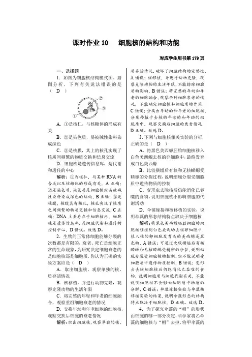 2022-2023学年 人教版   必修1细胞核的结构和功能作业