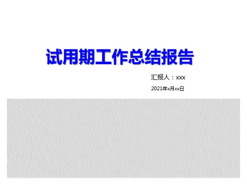 试用期工作总结报告ppt模板