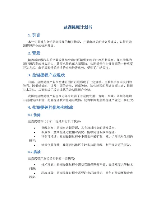 盐湖提锂计划书