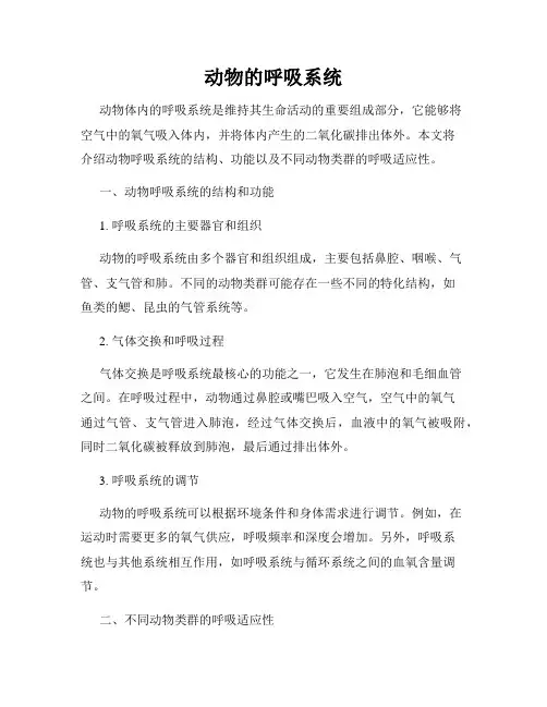 动物的呼吸系统