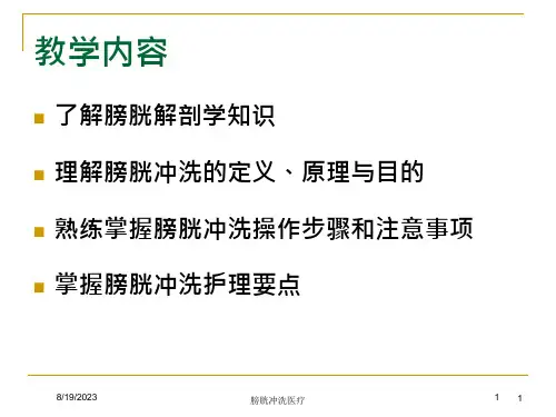 膀胱冲洗医疗培训ppt课件