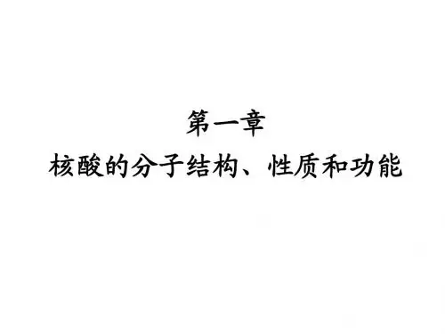 分子生物学第一章