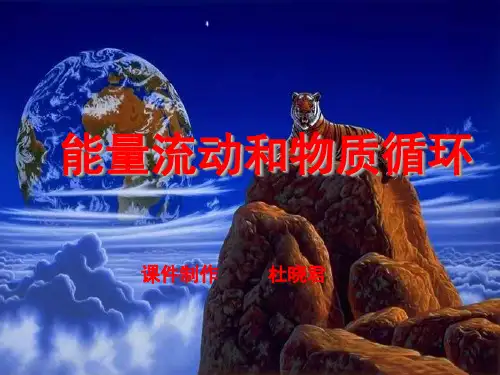 生态系统的能量流动与物质循环(复习)ppt