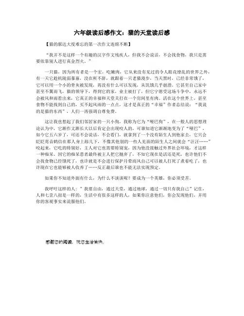 六年级读后感作文：猫的天堂读后感