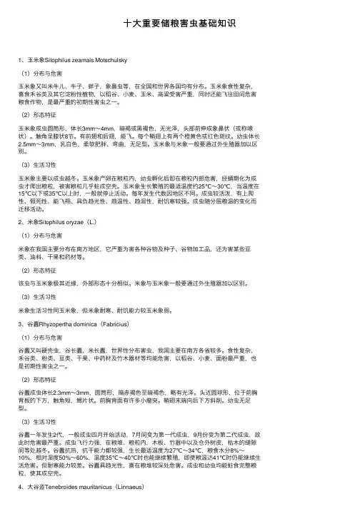 十大重要储粮害虫基础知识