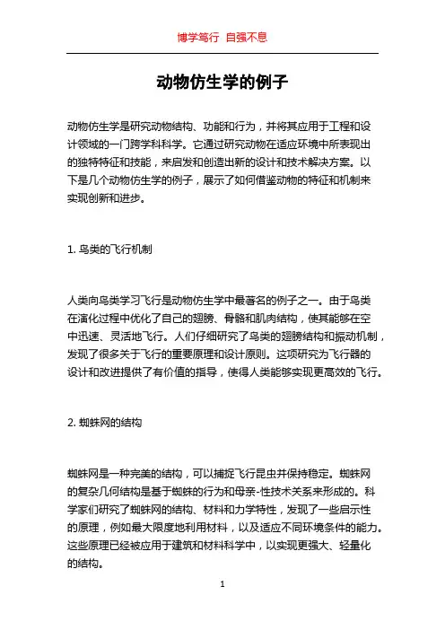 动物仿生学的例子