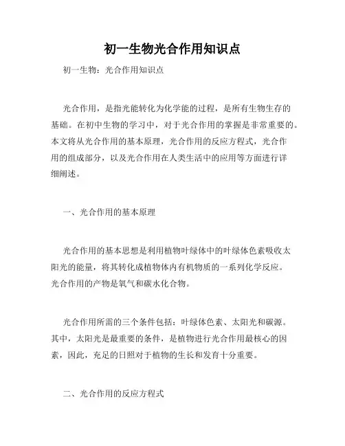初一生物光合作用知识点