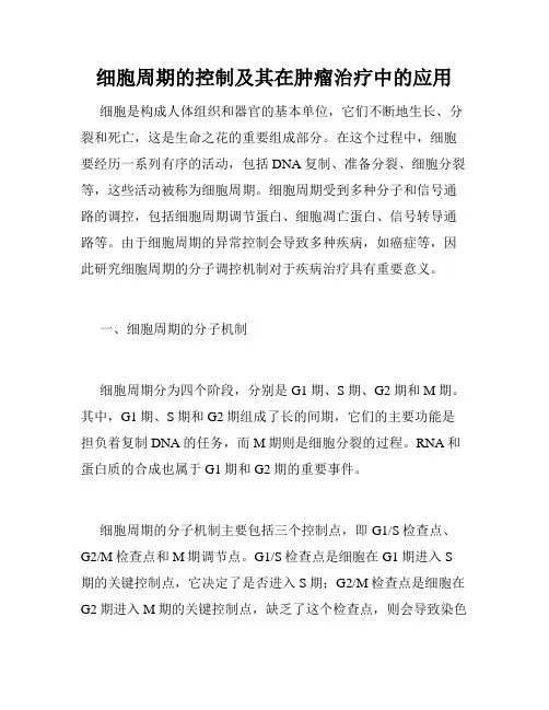 细胞周期的控制及其在肿瘤治疗中的应用