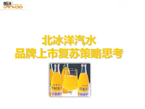 北冰洋汽水策略大纲丰富版