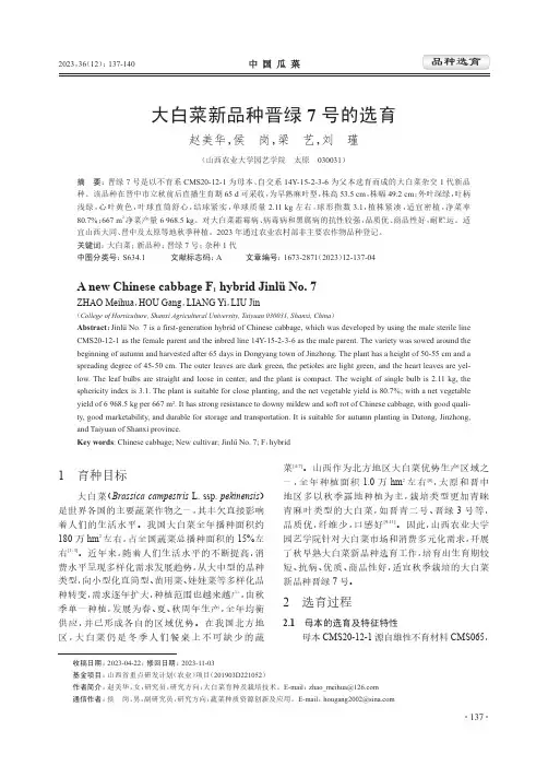 大白菜新品种晋绿7_号的选育