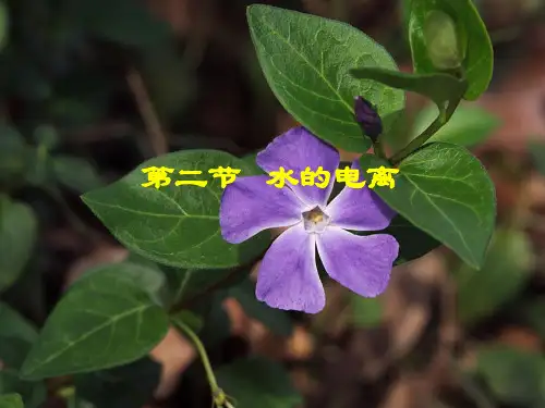 人教版化学选修四第二节水的电离及溶液的酸碱性上课课件