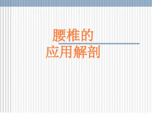 腰椎解剖应用PPT课件