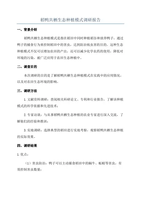 稻鸭共栖生态种植模式调研报告