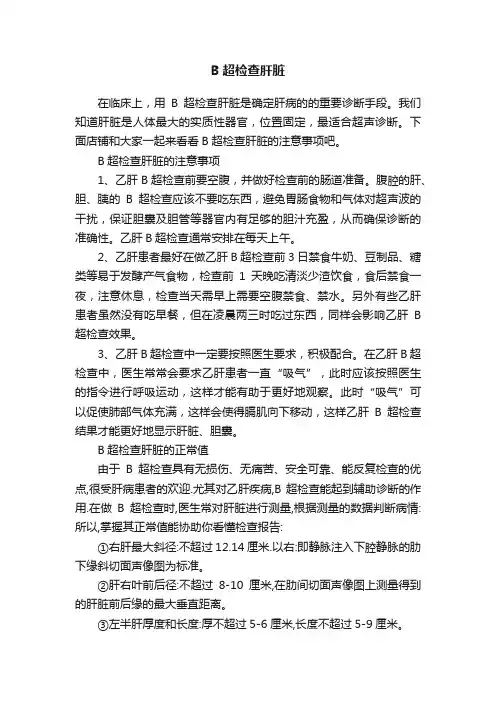 B超检查肝脏