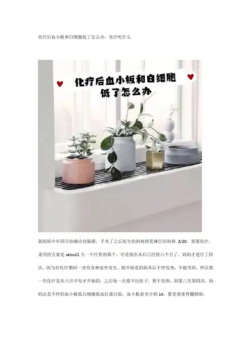 化疗后血小板和白细胞低了怎么办,化疗吃什么